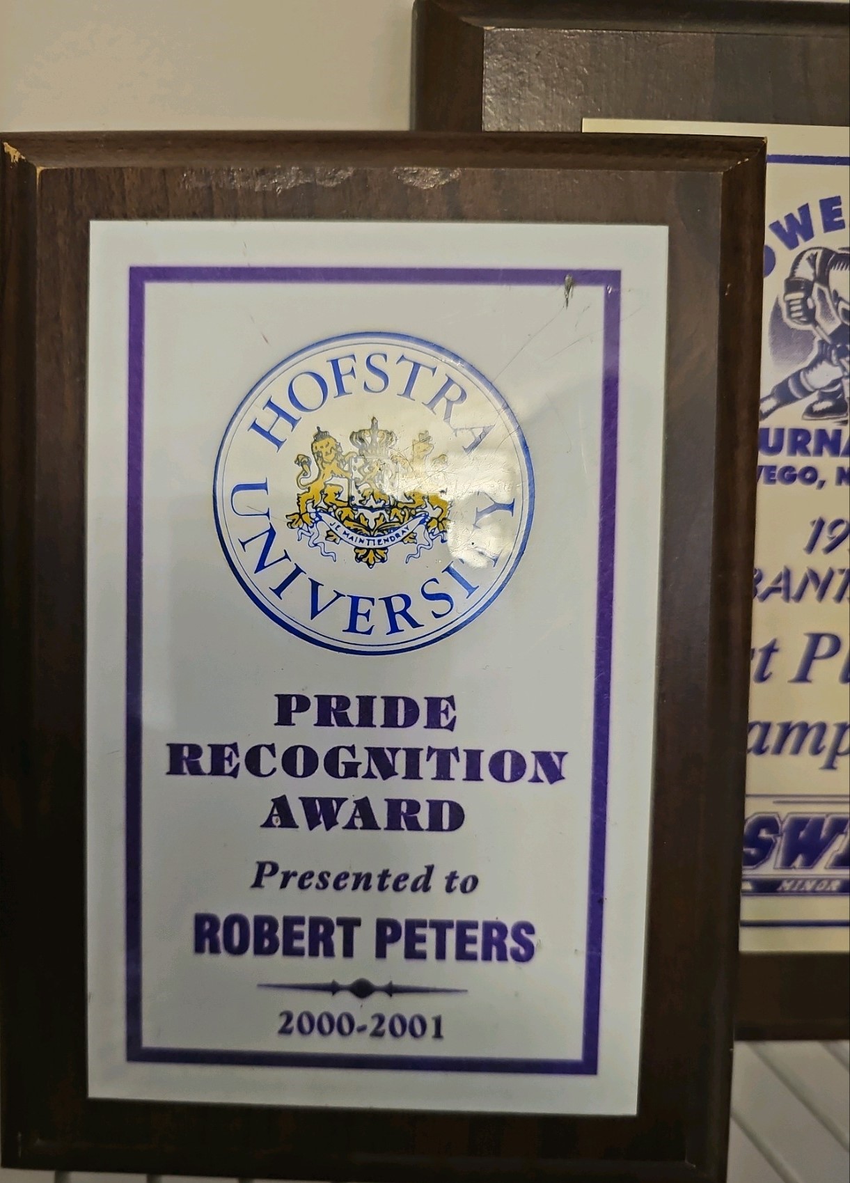 Hofstra Pride Recognition Award